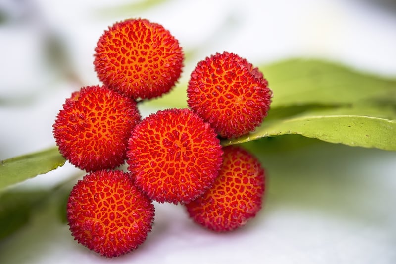 Edible varieties