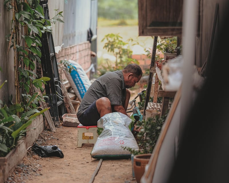 Urban gardening ideas